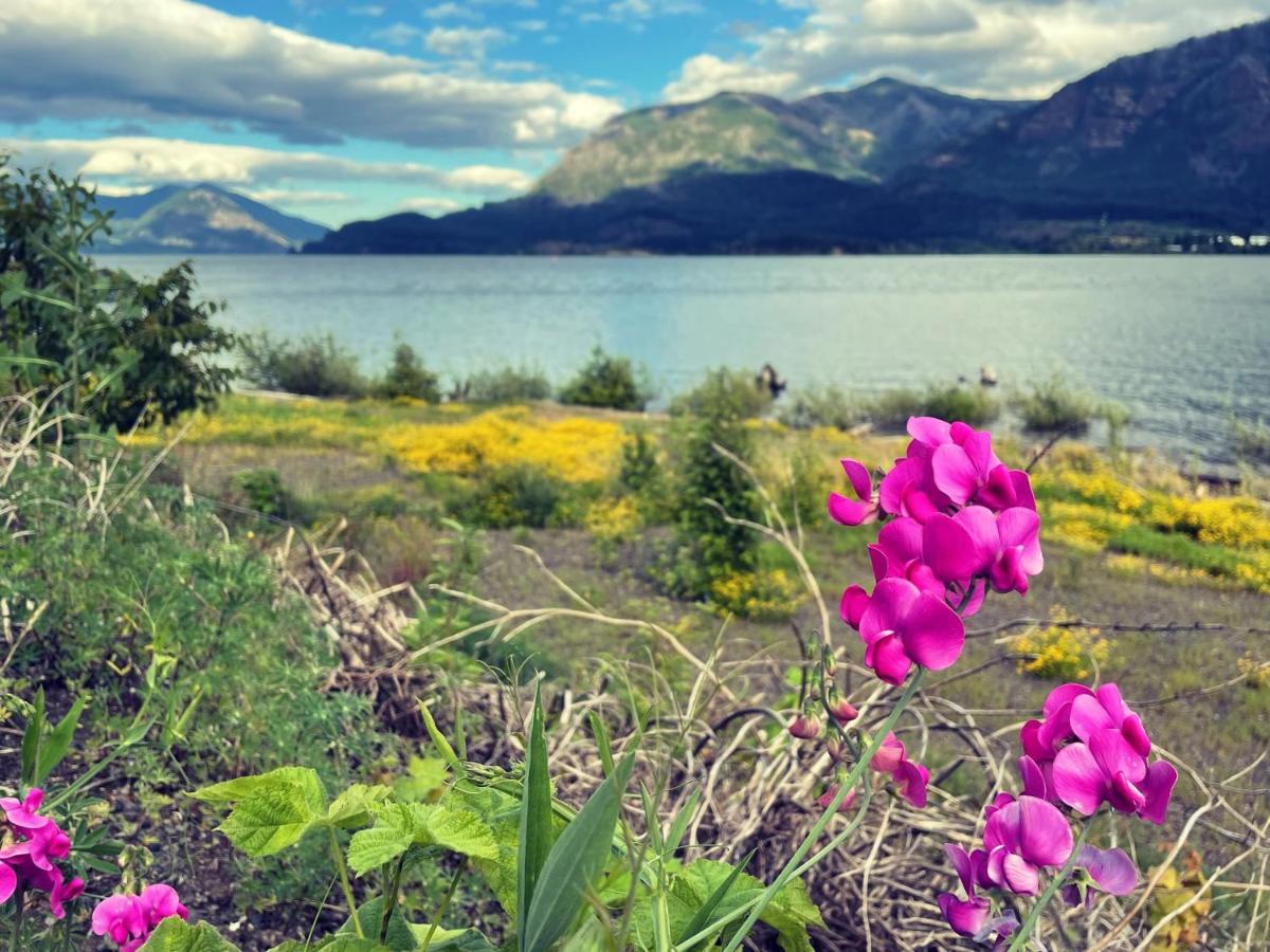 Gorgeous Gateway To The Columbia River Gorge Washougal Eksteriør bilde