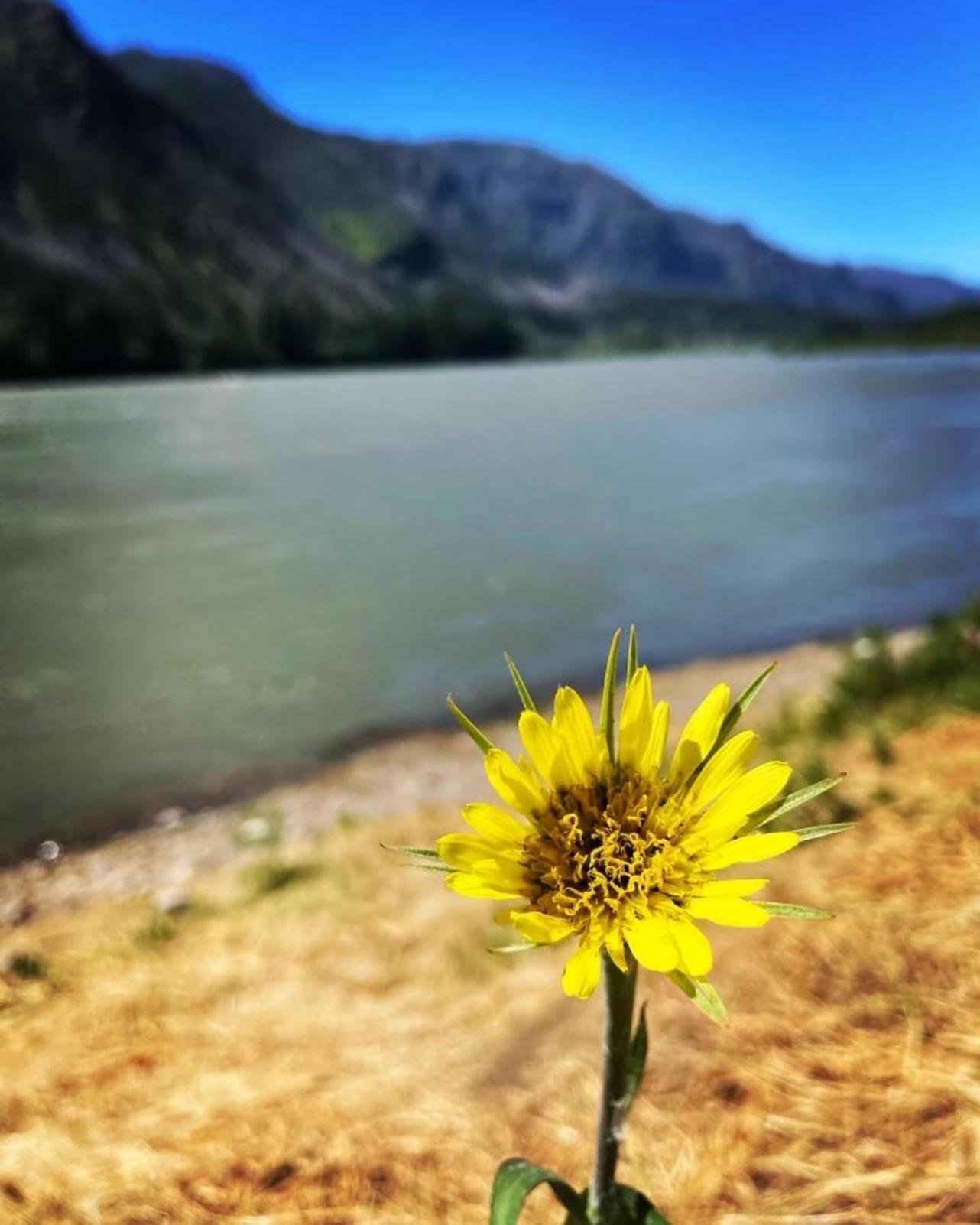 Gorgeous Gateway To The Columbia River Gorge Washougal Eksteriør bilde