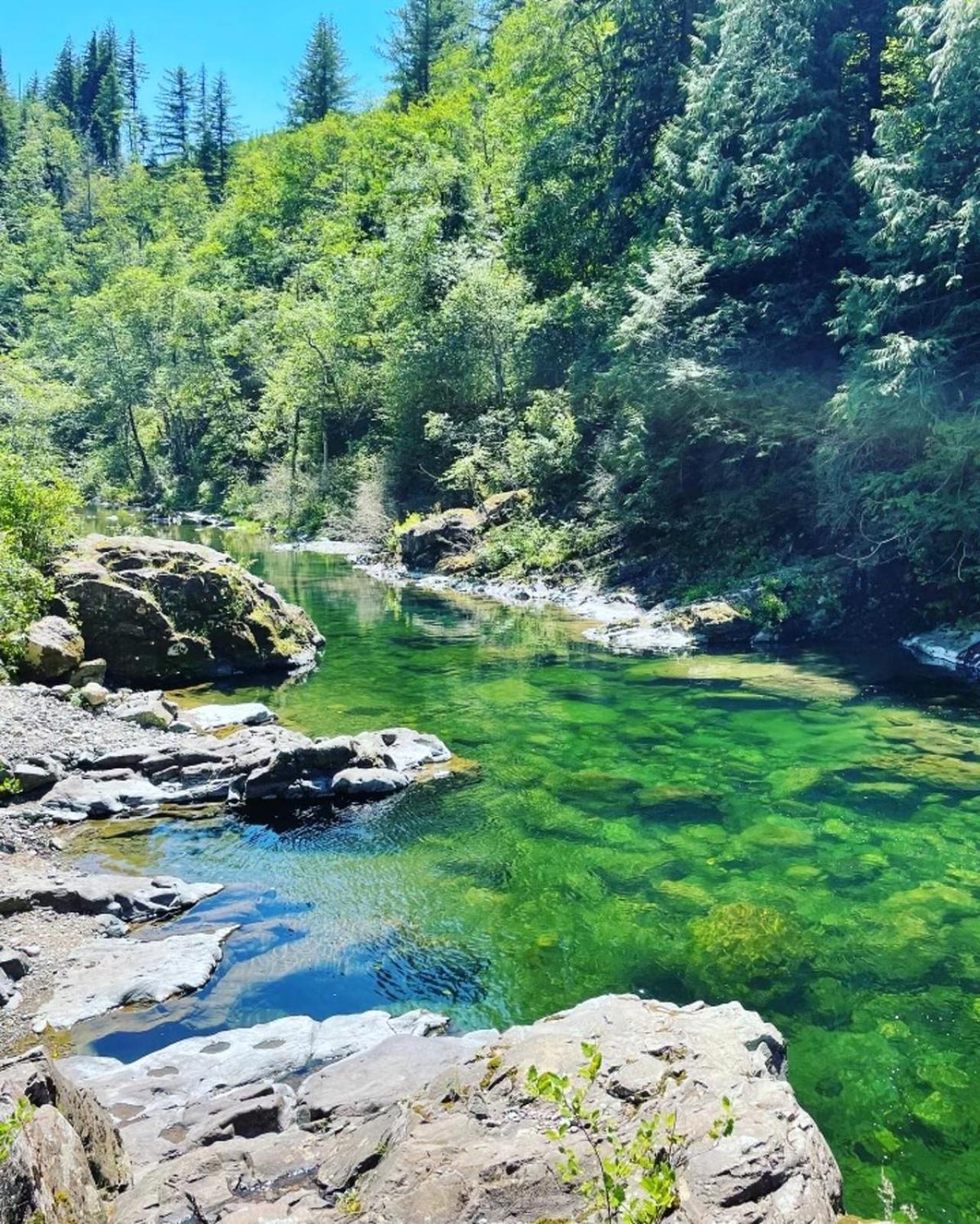 Gorgeous Gateway To The Columbia River Gorge Washougal Eksteriør bilde